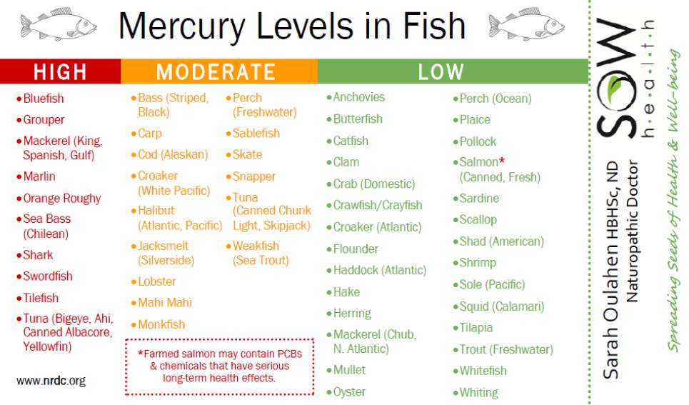 What Foods Contain Mercury What Foods Contain Mercury