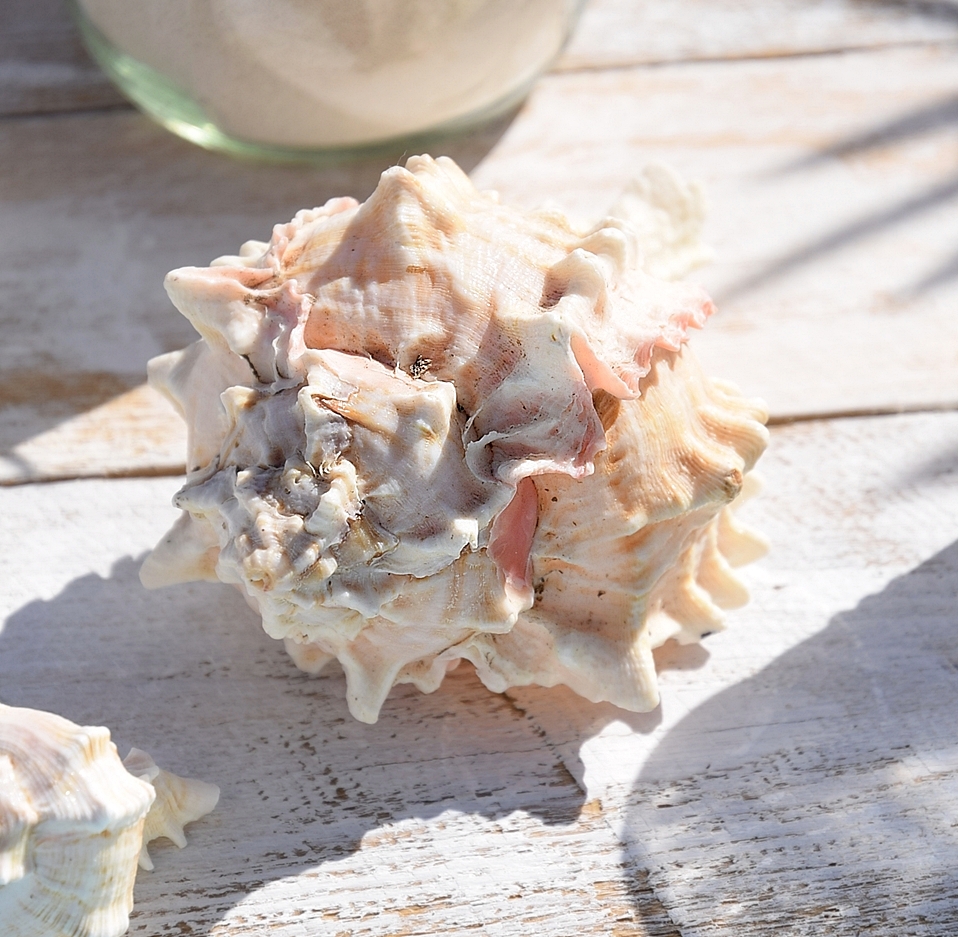 10 Tischsets Sommer Platzsets Abwaschbar Beach 1 Mit Kleinen Fehlern