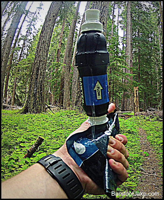 elwha water filter