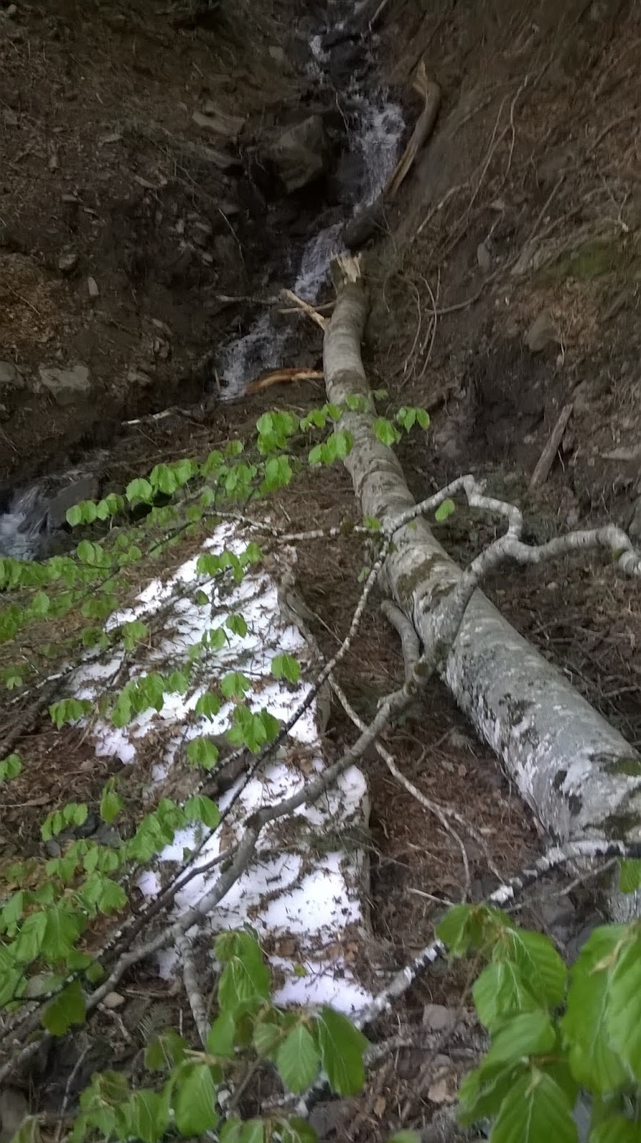 Så vidt rocky hook up