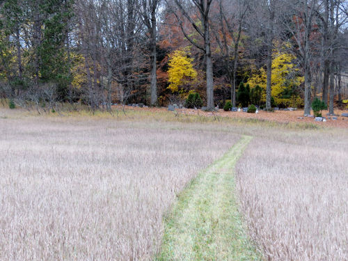 mowed trail