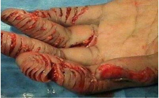 Punição Dada a Quem Ler a Bíblia na Arábia Saudita Punição Dada a Quem Ler a Bíblia na Arábia Saudita