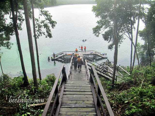 Danau Ubur-ubur tak menyengat di Pulau Kakaban Indonesia