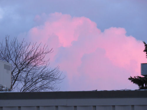 pink clouds