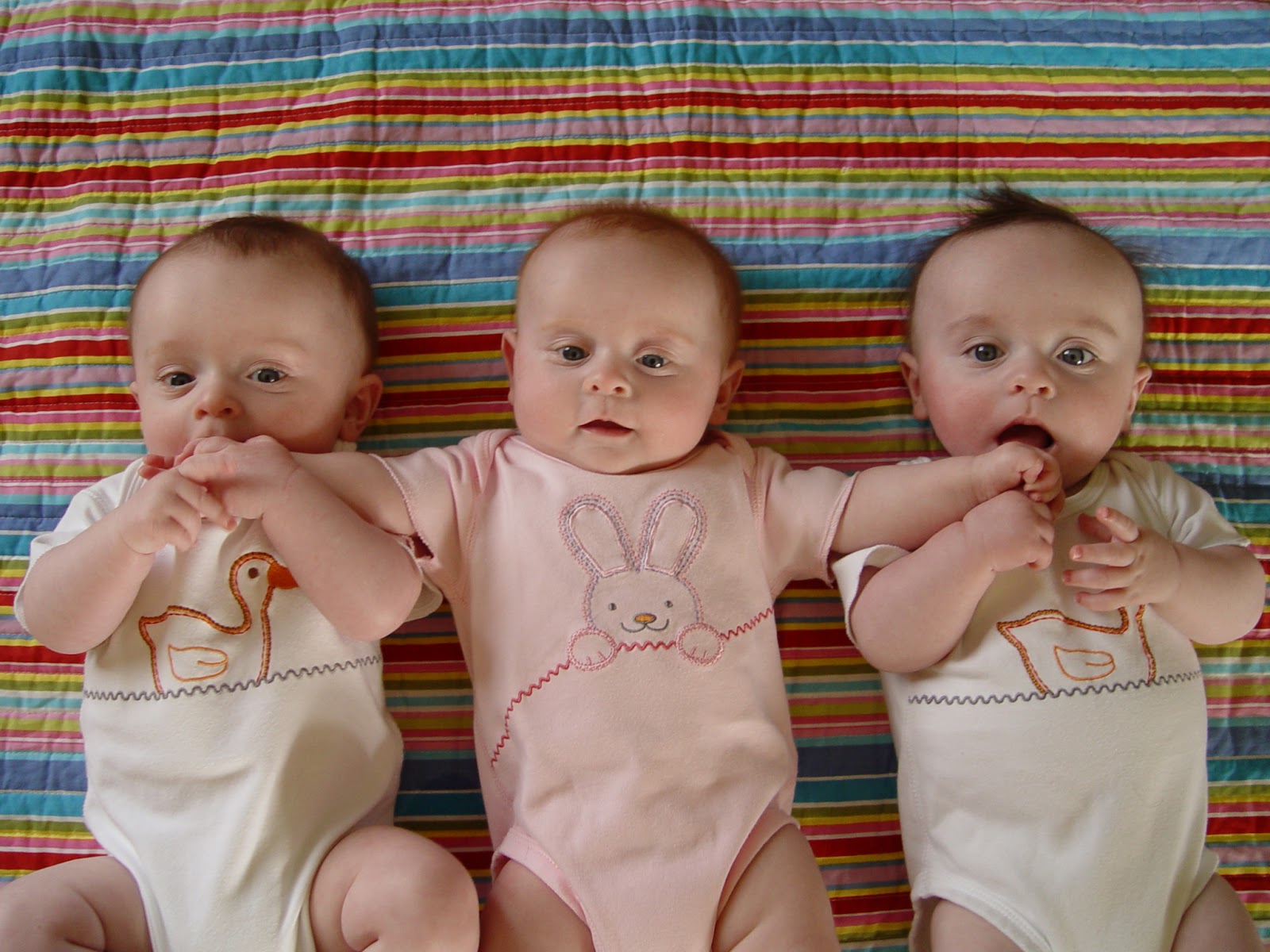 Gambar Anak Bayi Kembar Yang Lucu Terbaru DP BBM Seru