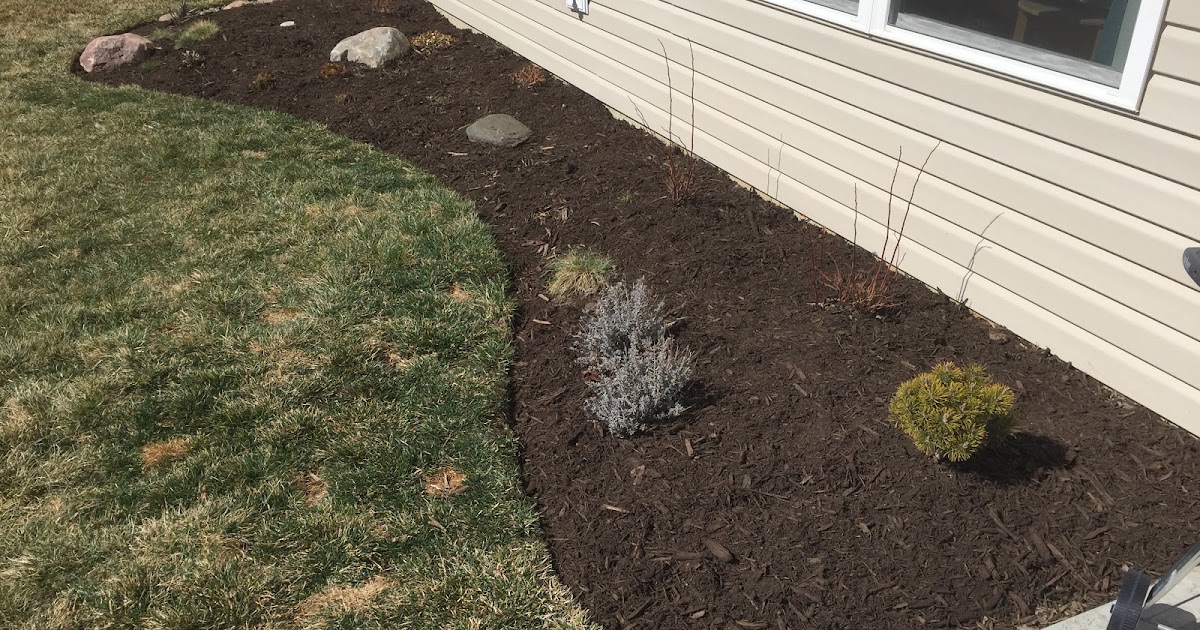 Quick Mulch on the Back Bed [Backyard Neophyte Landscaping Blog]