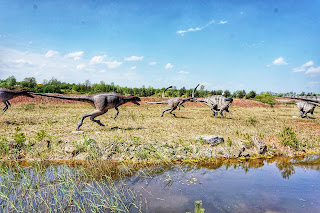 Jurapark Krasiejów - naturalnych rozmiarów modele dinozaurów, nowoczesne wystawy dotyczące ewolucji, podróż kolejką po „tunelu czasu” i kino 5D.