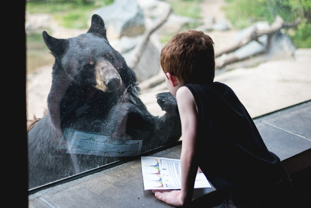 Zoo Photography Twin Cities Photographer