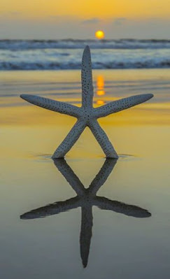 Κοχύλια Βότσαλα Μπουκάλια