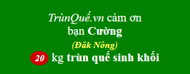 Trùn quế giống Đăk Nông