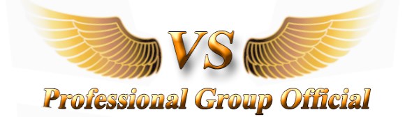 Vs Professional Group Official