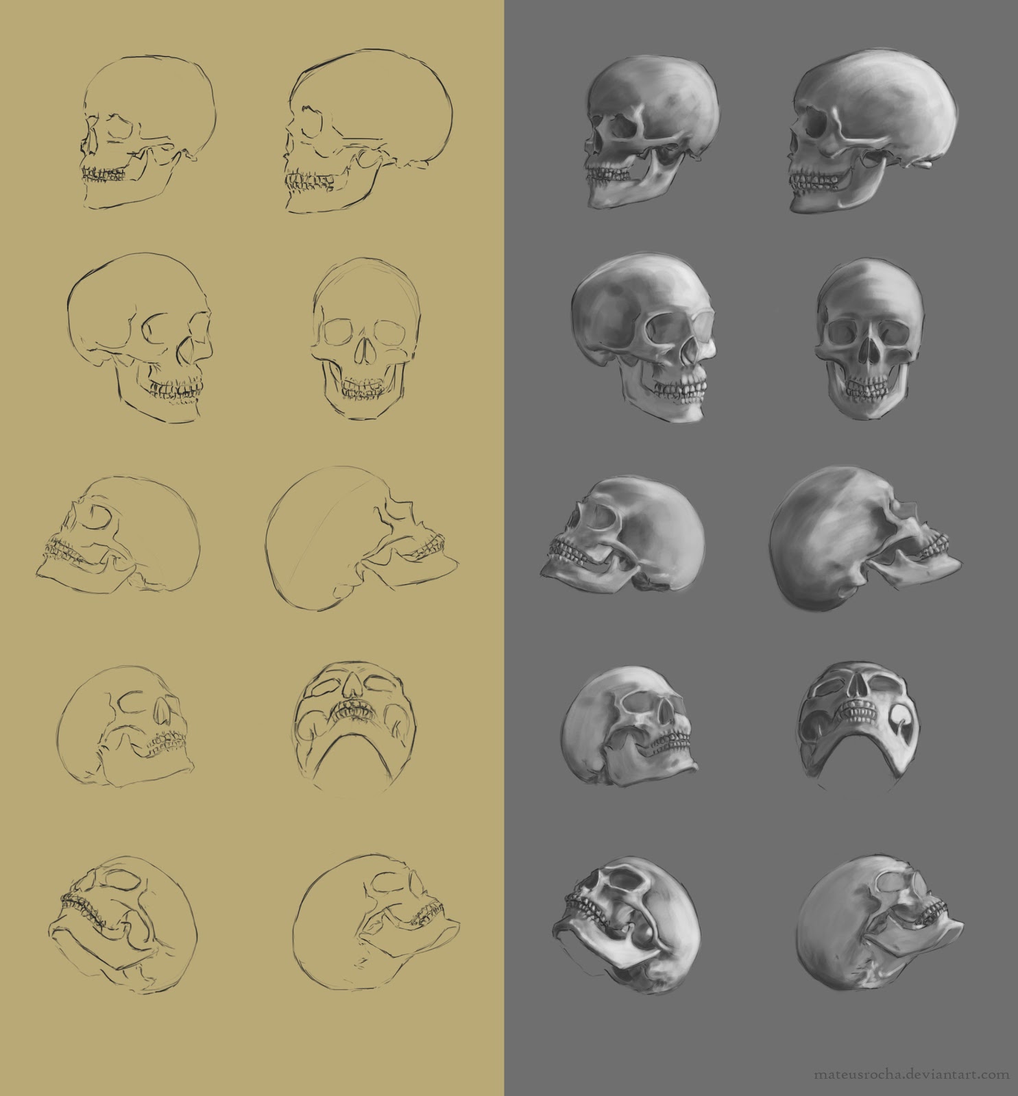 [Image: 28.10.12.+skulls.jpg]