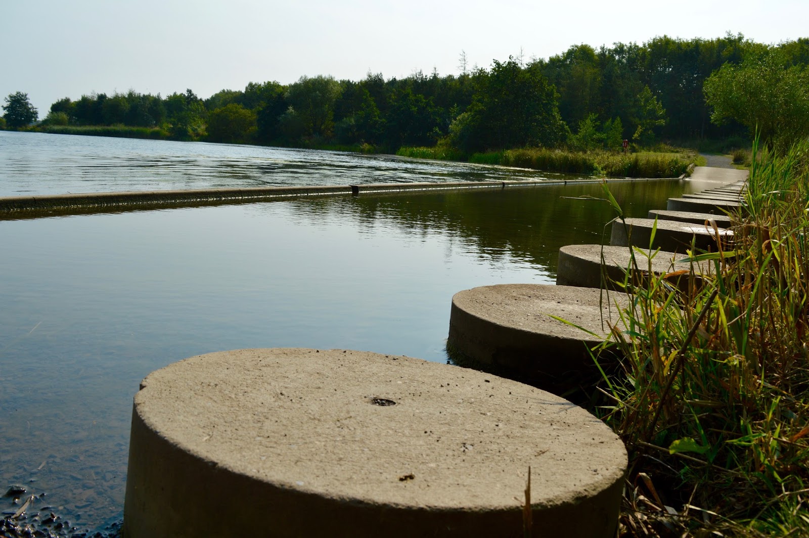 A walk around Ladyburn Lake at Druridge Bay Country Park