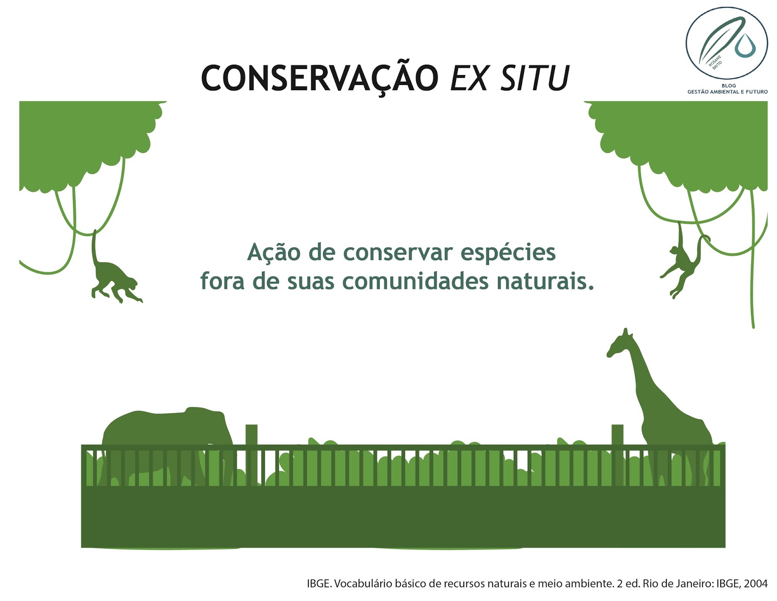 Natureza e meio ambiente no brasil ibge pdf free