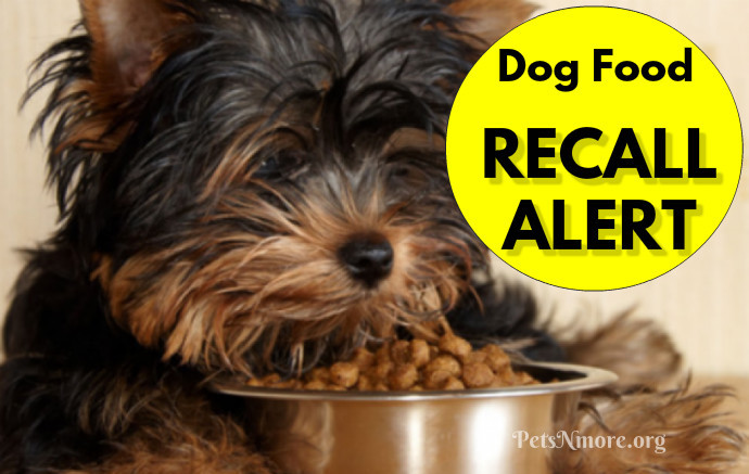 recalled dogs pets n more recall alert 19 varieties of food are on the list recalled dogs pets n more recall alert 19 varieties of food are on the list