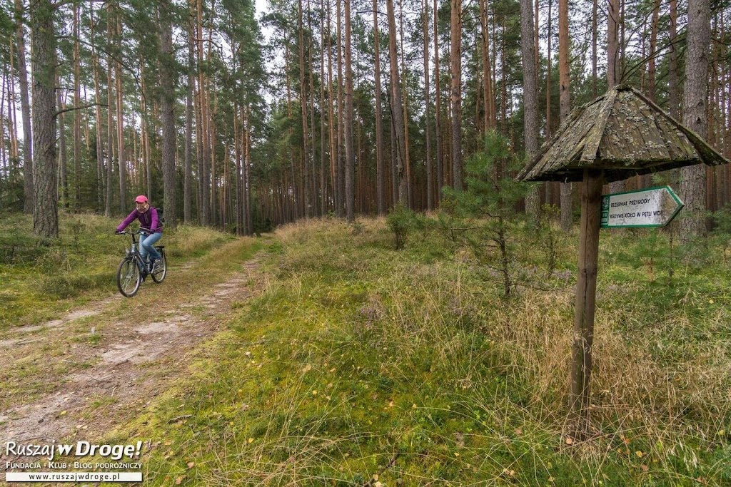 Kociewskie Trasy Rowerowe - Na Szlaku do Krzywego Koła