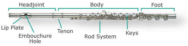 Diagram Of The Flute