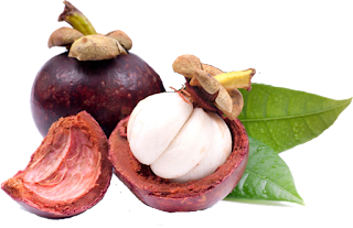 Ragam Manfaat Buah Manggis Untuk Kesehatan dan Kecantikan Ragam Manfaat Buah Manggis Untuk Kesehatan dan Kecantikan