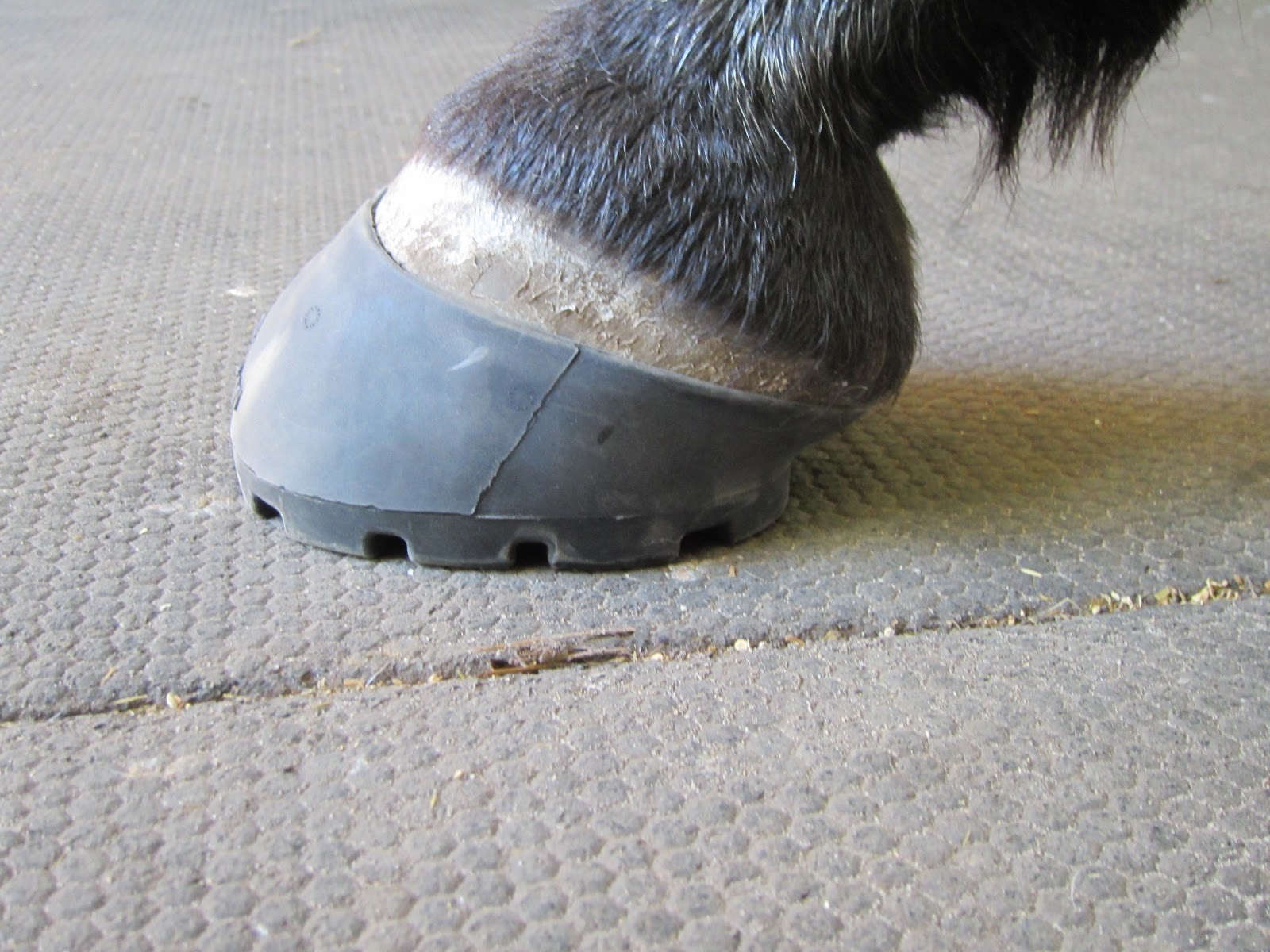 Memoirs of a Horse Girl My Barefoot Horse Boot Fit Kit