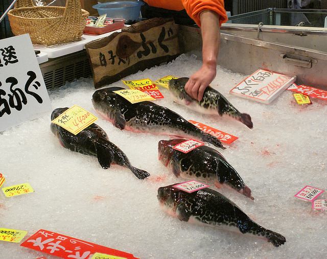 6 Bizarre Foods In Asia Tasty Destination Food Travel