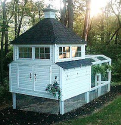 coop chicken backyard plans chickens coops fancy build cupola easy sweet hip roof plan abri poules mansion hen crisis mid