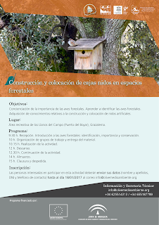Construcción y colocación de cajas nido en zonas forestales