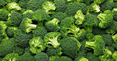 Manfaat Brokoli Bagi Kesehatan dan Kandungan Gizinya