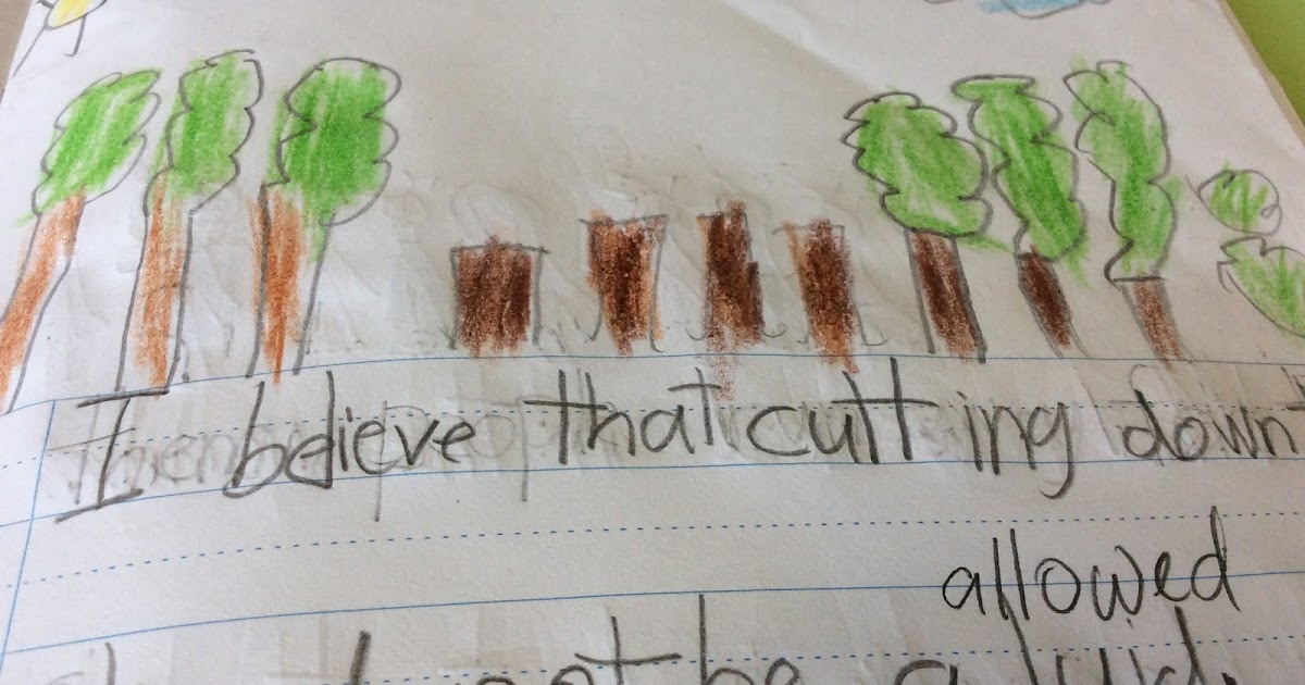 Mika Saint Patrick's School Why Is Cutting Down Trees Bad?