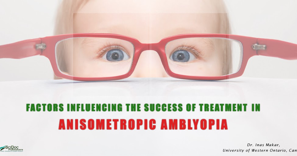 Factors Influencing the Success of Treatment in Anisometropic Amblyopia