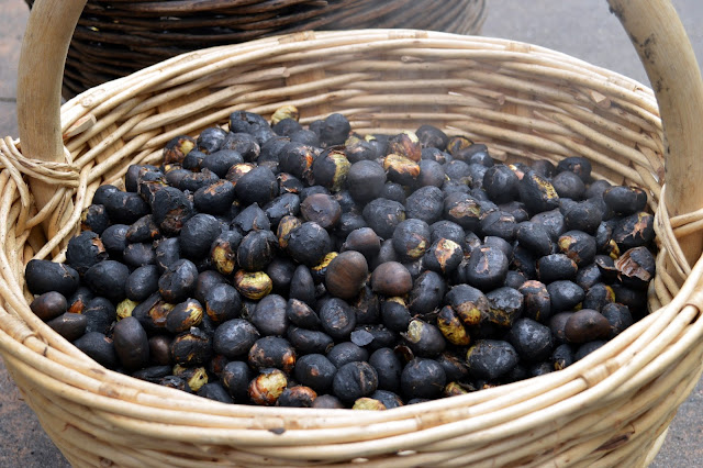 festa dei marroni combai