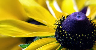 Goodness Is Within You-A Poem