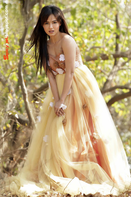 Sana Khan Sexy And Hot Gallery Indian Spicy Actress Photos