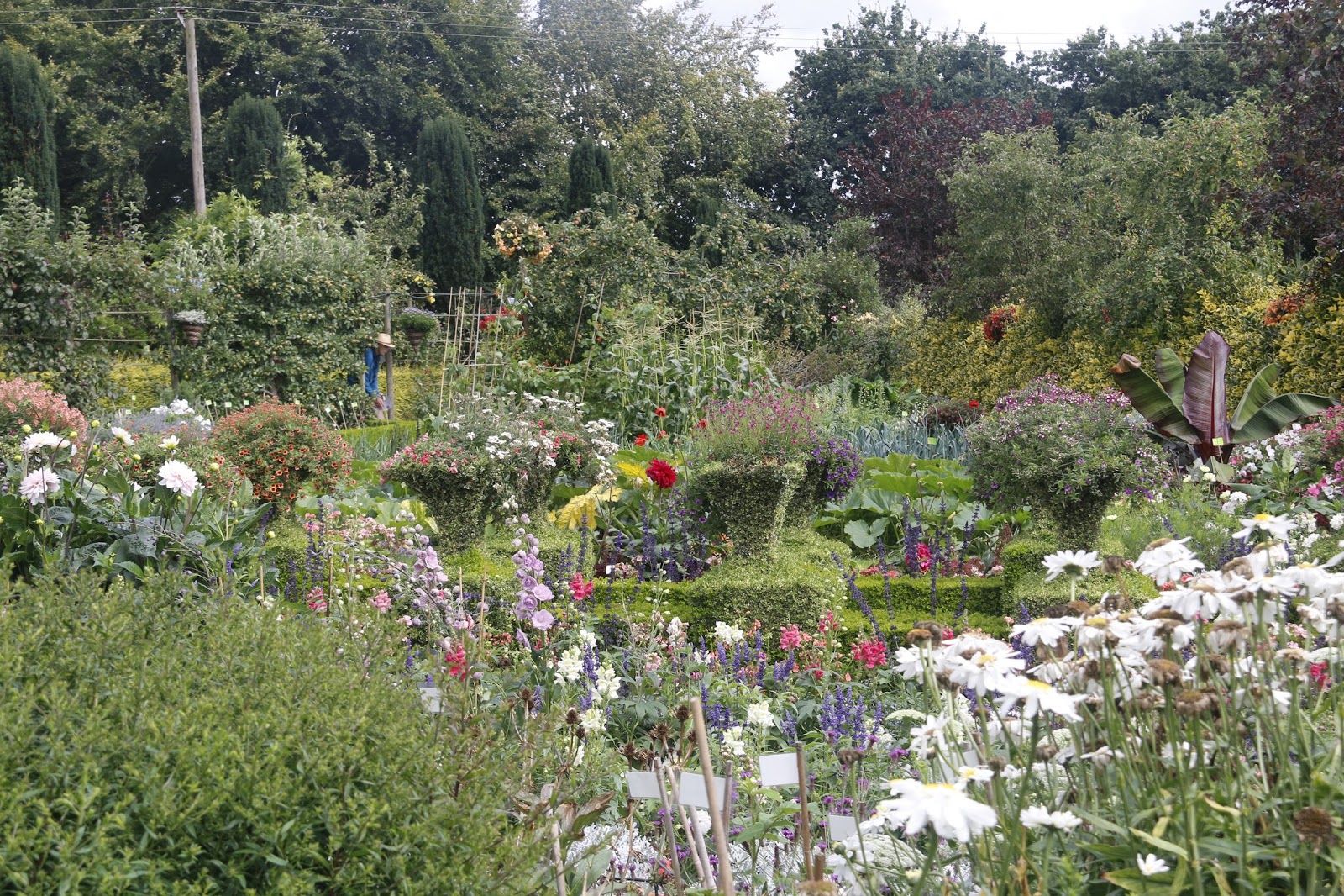 JibberJabberUK Meynell Langley Trials Garden