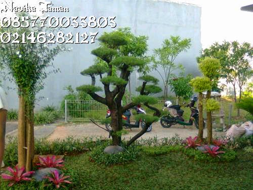 Taman Minimalis Belakang Rumah Taman Minimalis Belakang Rumah