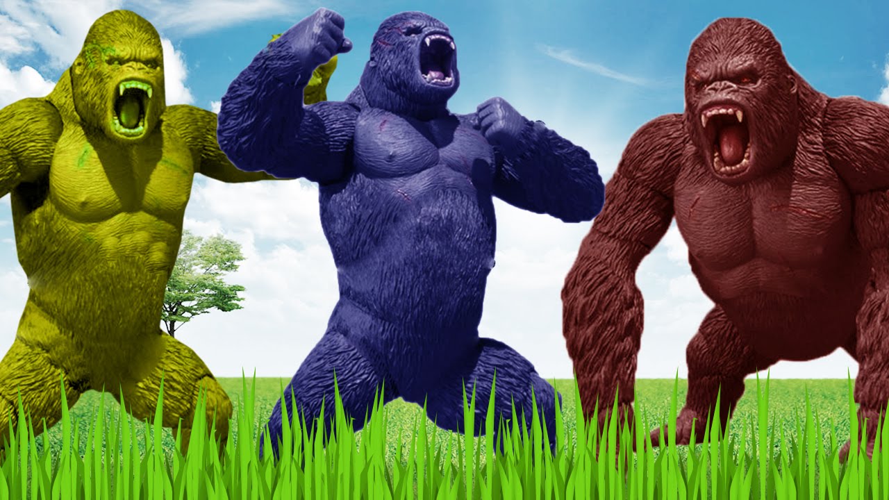 Colors Gorilla Action Fight Video For Children Colors Lion Tiger