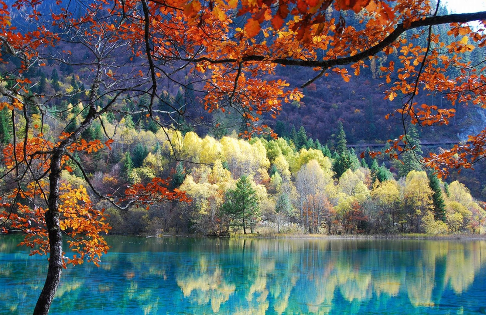 http://4.bp.blogspot.com/-91-wGgV-iww/UOhh6WnwyvI/AAAAAAAACHM/5lNvbw_lPgA/s1600/Beautiful+Nature+Reflection+Landscape+Wallpaper+HD.jpg