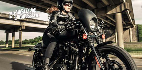 custom cruiser motorcycle accessories