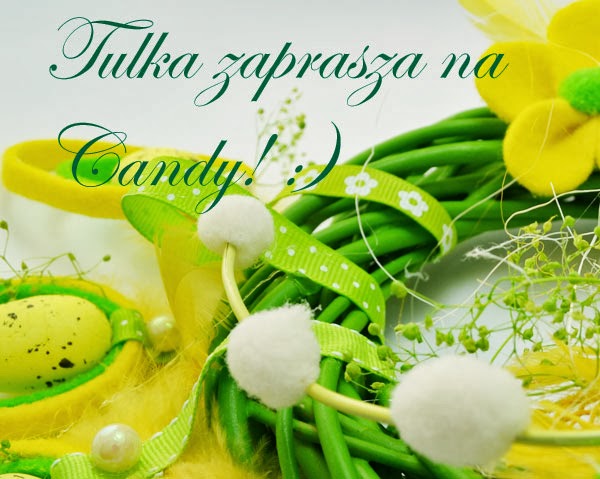 Candy u Kasi - Tulki