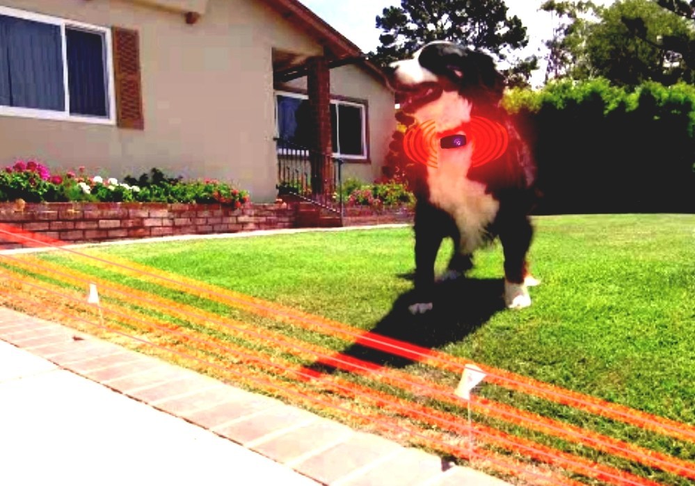 adjusting invisible fence collar adjusting invisible fence collar