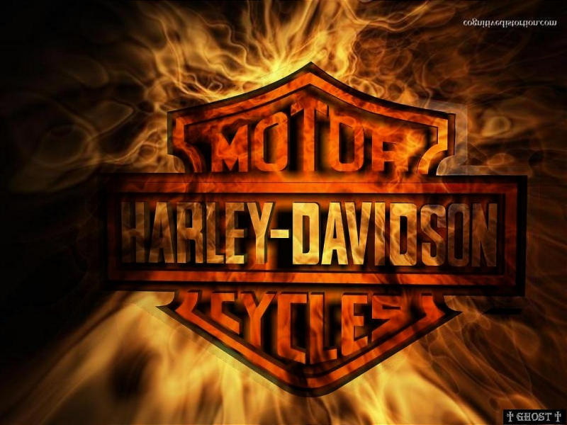  Harley  Quin Harley  Davidson  Logos 