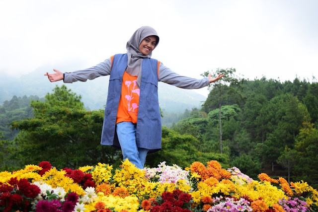 http://renidwiastuti.com/2018/01/eksotisme-batu-flower-garden-di-wana_2.html