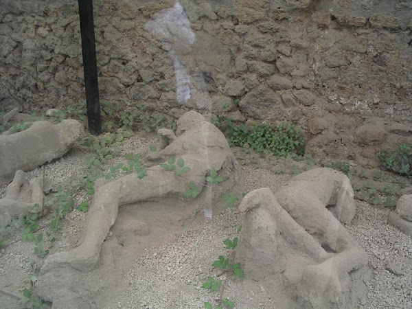 بماذا عذب الله قوم لوط