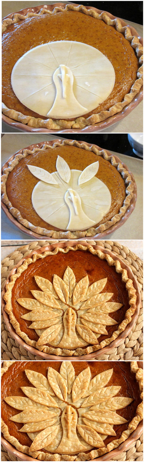 Adorable Turkey Crust Pumpkin Pie