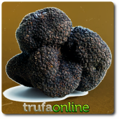trufa2.png