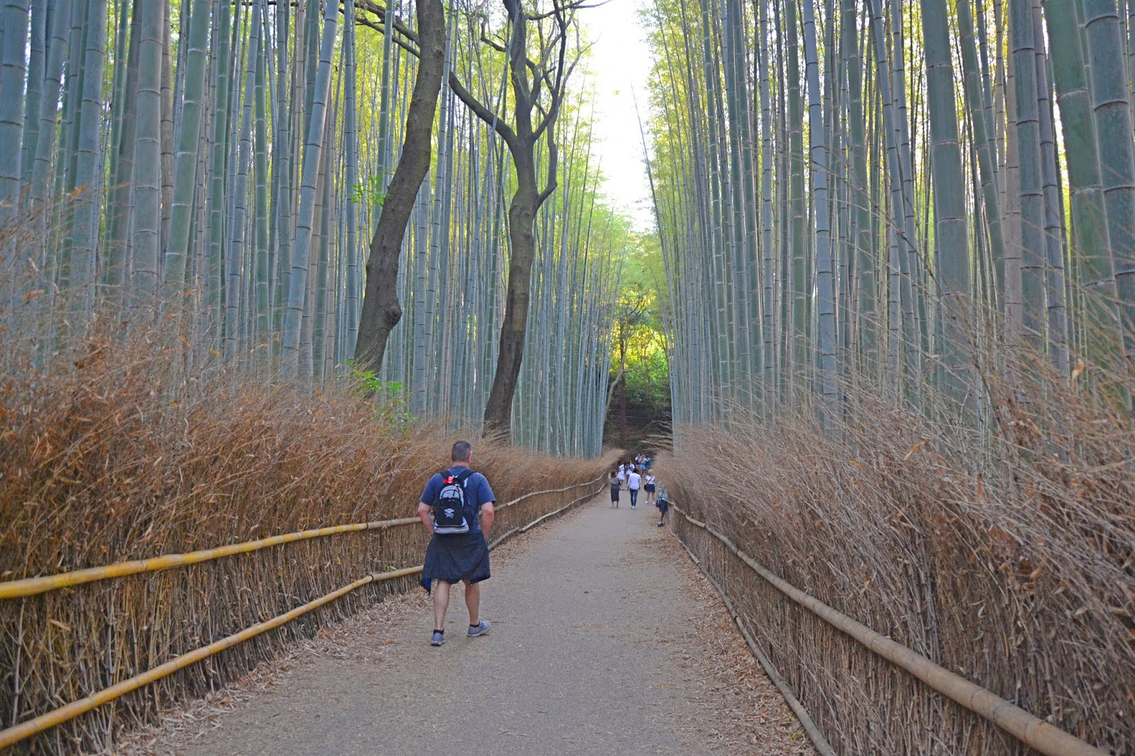 Kyoto Arashiyama Bamboo Grove