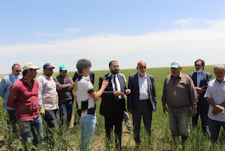 Saadet İl Başkanı Saydam, Çumra'da çiftçileri tarlada ziyaret etti