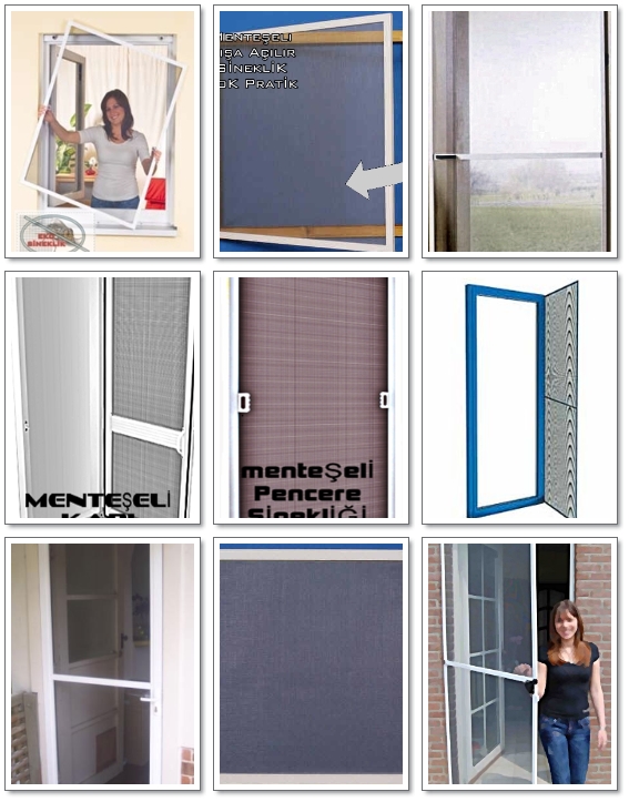 Sineklik, Hakkında her şey