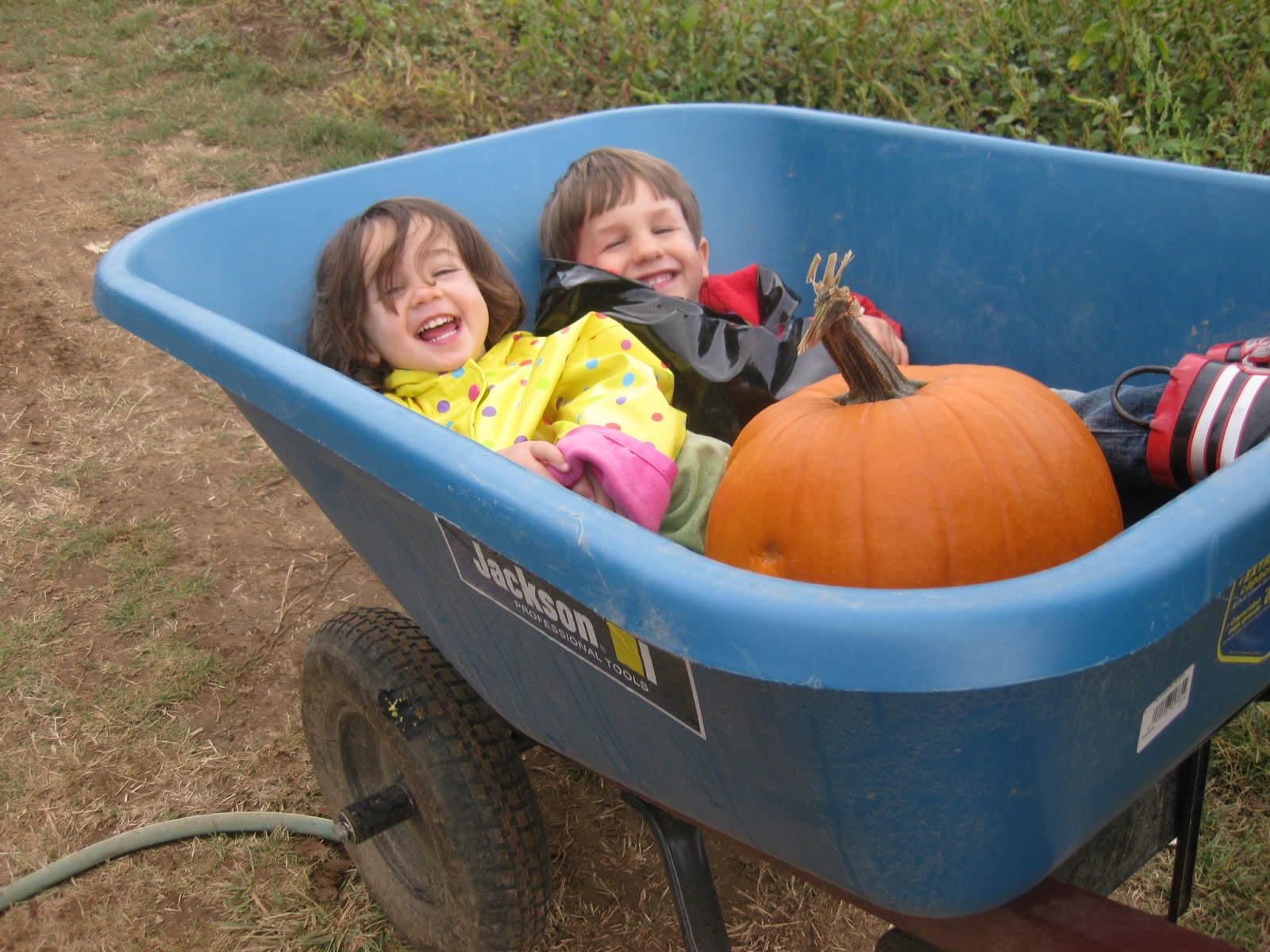 Vegan Mommy Chef: Sugar-Free Pumpkin Caramel