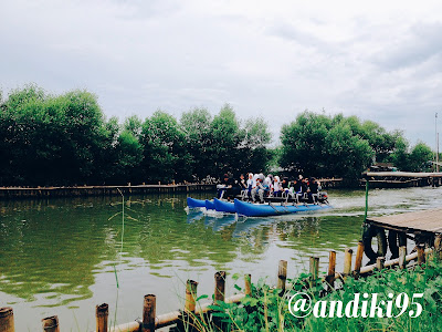 Jelajah Hutan Mangrove Karangsong Indramayu Jelajah Hutan Mangrove Karangsong Indramayu