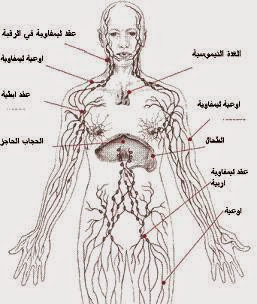 علاقة الوقت بالجسم  %D8%BA%D8%AF%D9%87